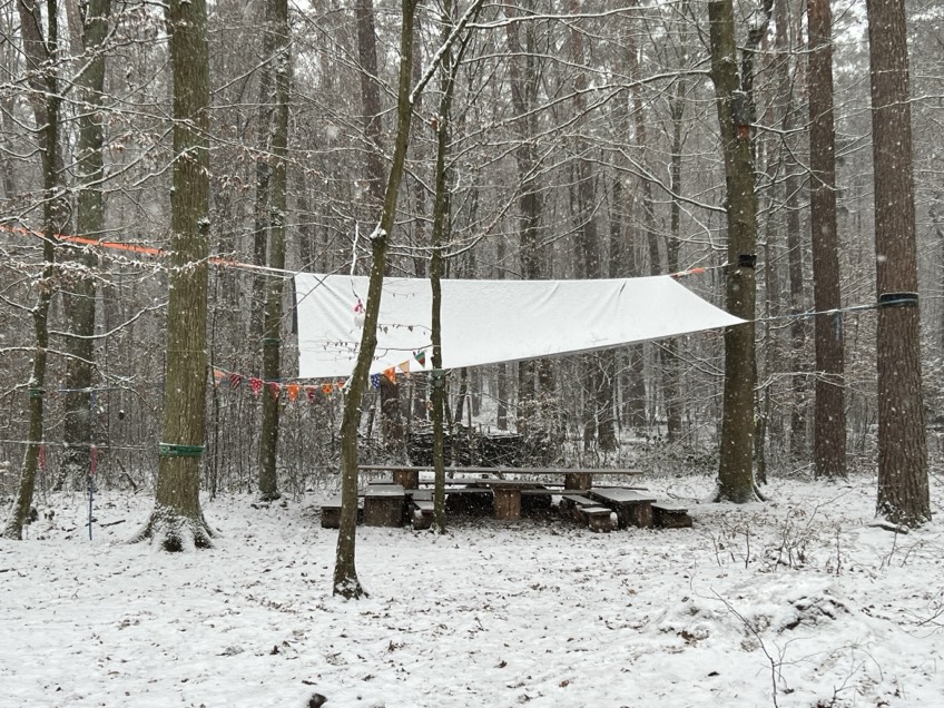 Waldplatz Bräuningshof-Langensendelbach